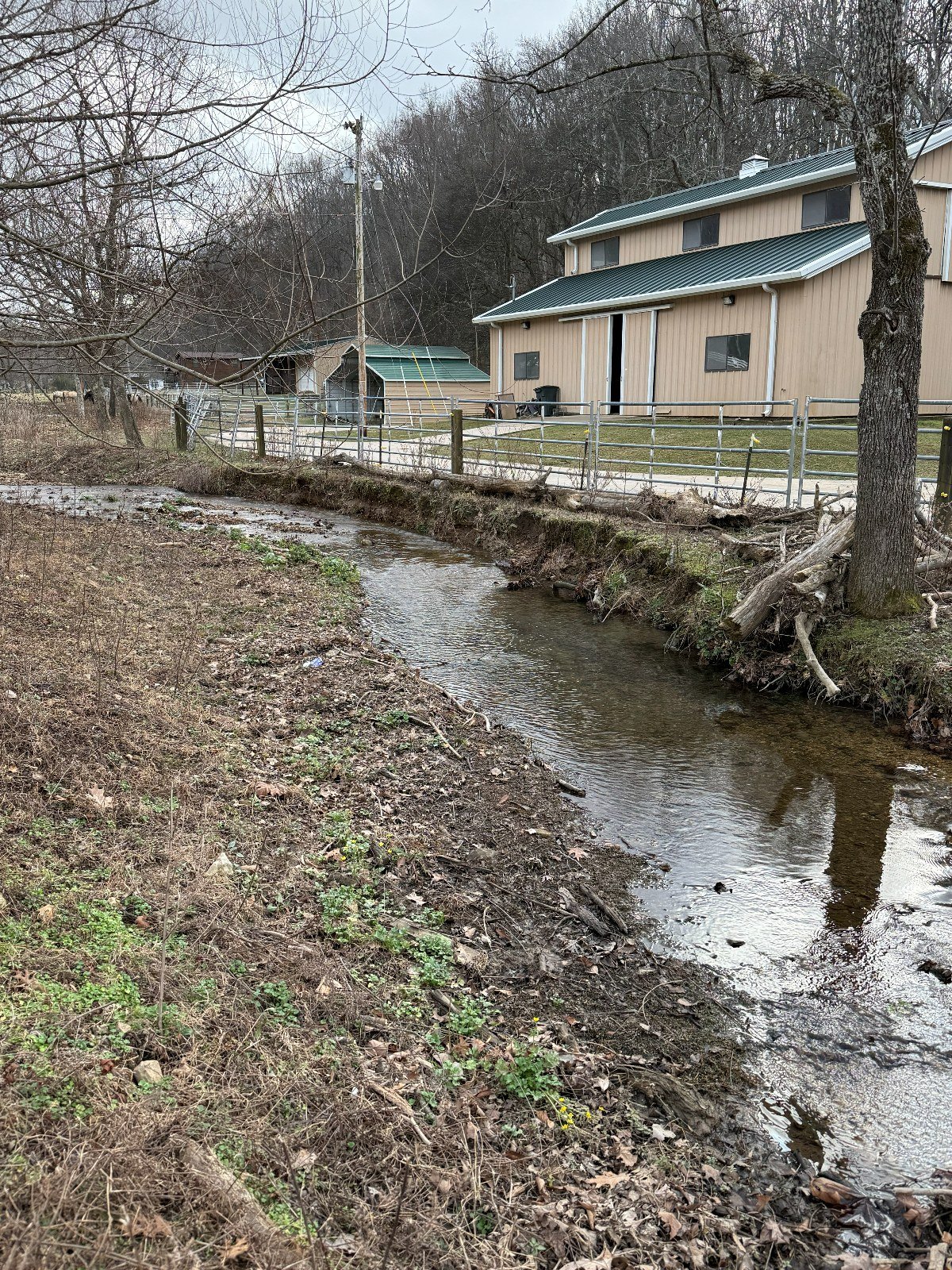 Before: undercut, eroded creek bank