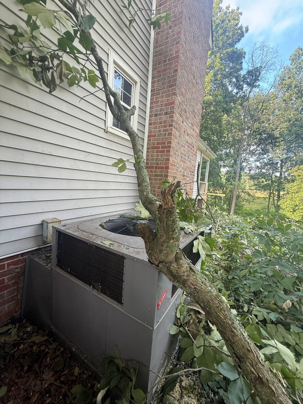 Storm-fallen tree resting on a home's AC unit, ready for emergency removal