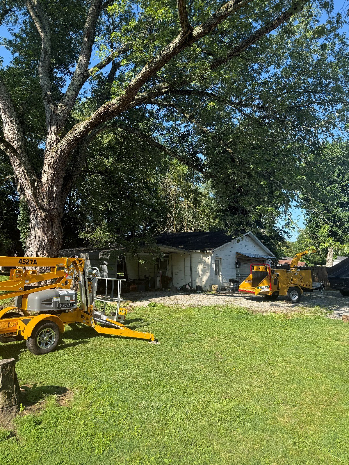 Bucket lift and wood chipper staged under a large tree